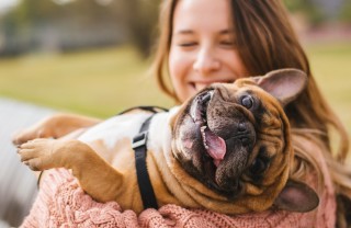 sogno, cane, abbraccio