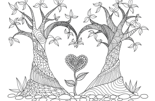 Disegni da colorare, le immagini da scaricare disegni antistress adulti
