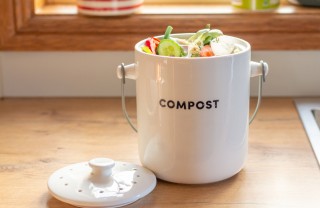 Compost