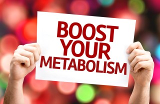 Metabolismo