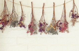 Che cosa vuol dire sognare fiori secchi sognare fiori secchi, significato, interpretazione