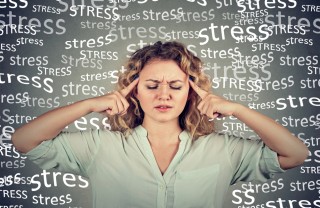 Stress Stress