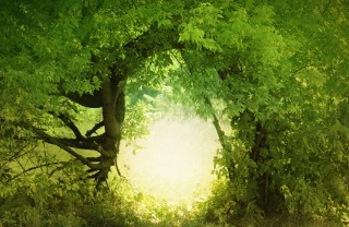 lascia che tutto ti accada bellezza e terrore, poesia rilke 