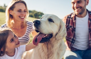 Le razze canine più idonee a vivere con famiglia e bambini cani per famiglia