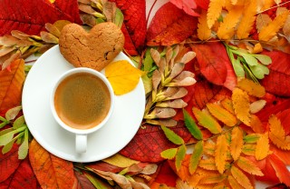 cosa fare domenica pomeriggio autunno, cosa fare domenica pomeriggio