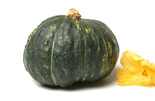 zucca delica proprieta