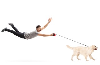 come tranquillizzare cane