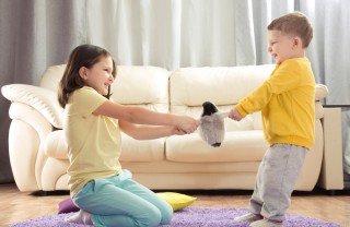 Litigio tra fratelli