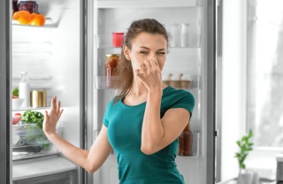 I rimedi naturali per deodorare il frigo deodorare, frigo, rimedi