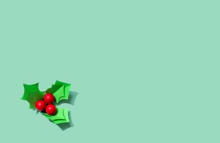 agrifoglio natale fai da te