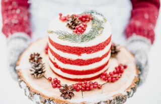 Torta invernale decorata torte invernali decorate, torte inverno decorate