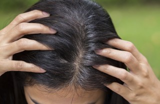 Ricrescita capelli Ricrescita capelli