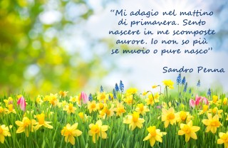 equinozio primavera immagini frasi, equinozio primavera immagini, equinozio primavera frasi