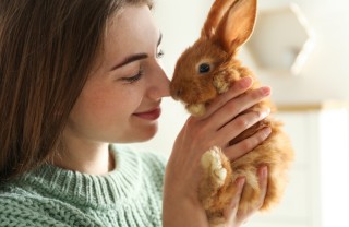 animali domestici piccoli