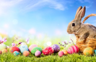 sfondi videochiamate pasqua, sfondi videocall