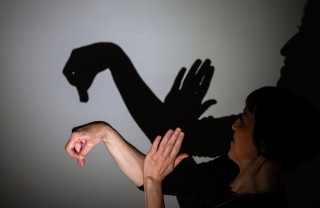 come fare ombre cinesi con mani, come fare ombre cinesi