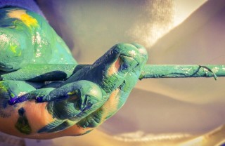 pittura bambini fai da te