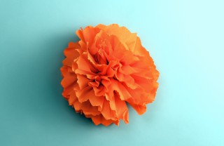 Decori primaverili fiori fai da te decori primavera fiori