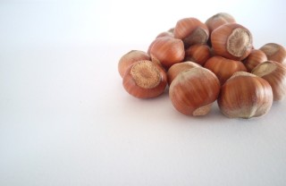 Nocciola Nocciola