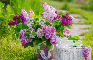 Idee fai da te per il giardino idee per abbellire giardino fai da te, arredo giardino fai da te, decoupage giardino