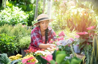 giardinaggio mal di schiena, giardinaggio dolore schiena