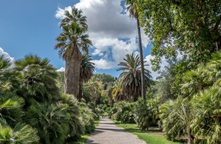 orto botanico motivi visitarlo