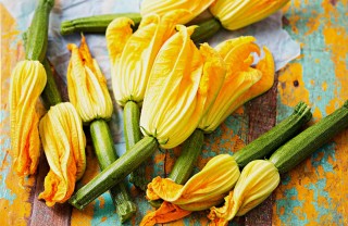 Ricetta con fiori di zucca
