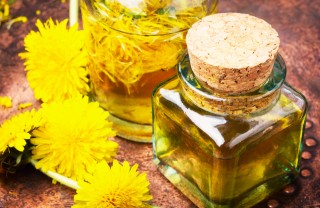 Olio tarassaco fatto in casa olio tarassaco fai da te