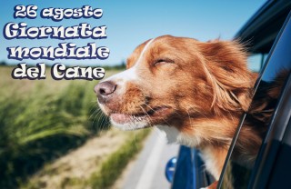 giornata mondiale cane immagini, giornata mondiale cane, giornata cane
