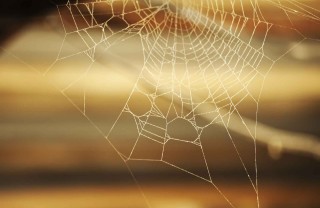 Come eliminare le ragnatele