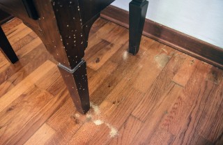 come capire se ci sono tarli nel legno, tarli legno 