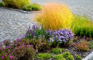 piante autunnali da esterno, piante autunno da esterno