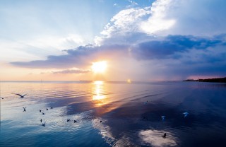 montale poesie, eugenio montale poesie