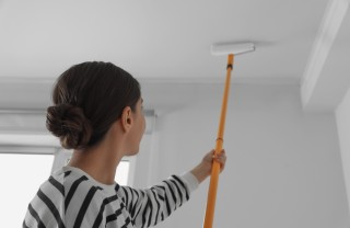 Dipingere soffitto