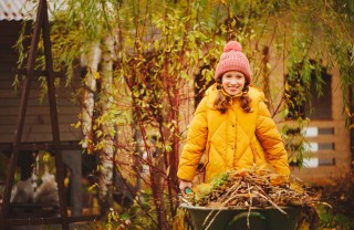 Cura del prato in autunno