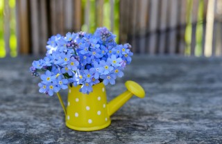 Vaso per fiori