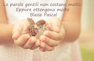 giornata gentilezza immagini frasi, giornata gentilezza immagini, giornata gentilezza immagini