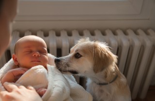 Cane e neonato