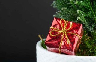 Regali di Natale solidali