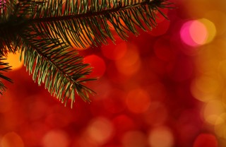 decori brillanti albero fai da te