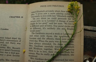 Orgoglio e pregiudizio di Jane Austen Orgoglio e pregiudizio di Jane Austen