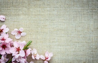 nazim hikmet poesie, nazim hikmet poesia