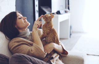 Gatto