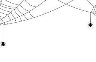 sognare, ragno, interpretazione