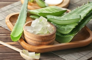 aloe vera aloe vera