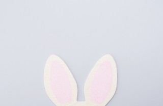 coniglio pasquale scatolina