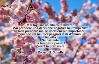 equinozio primavera 2022 immagini frasi, equinozio primavera immagini frasi, equinozio primavera immagini, equinozio primavera frasi 