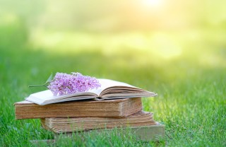Un libro nel prato giornata poesia 2022, giornata poesia, giornata mondiale poesia
