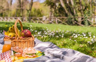 pic nic con i bambini
