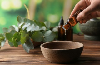 Olio vettore